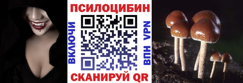 Галлюциногенные грибы мицелий  наркотики  Спас-Деменск 